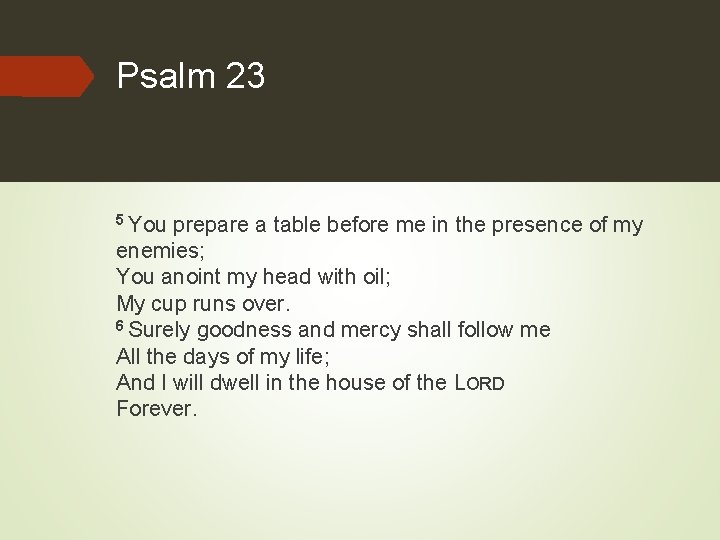 Psalm 23 5 You prepare a table before me in the presence of my