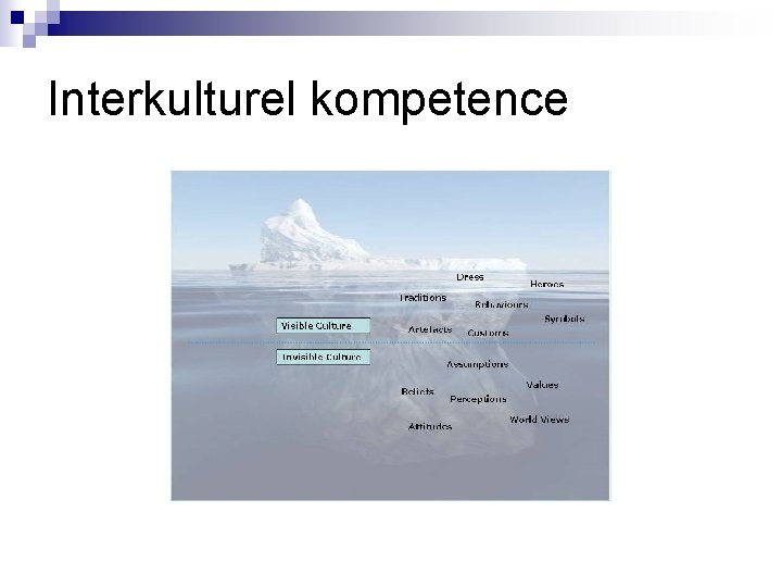 Interkulturel kompetence 