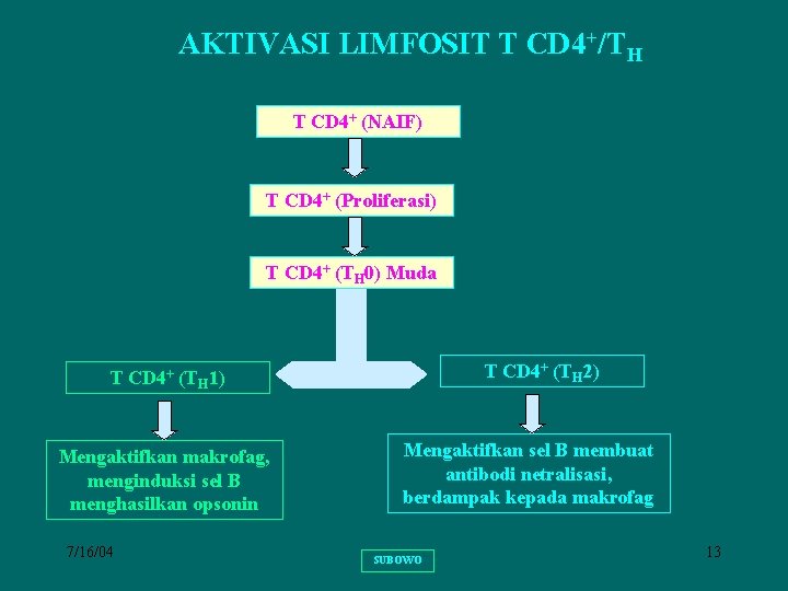 AKTIVASI LIMFOSIT T CD 4+/TH T CD 4+ (NAIF) T CD 4+ (Proliferasi) T