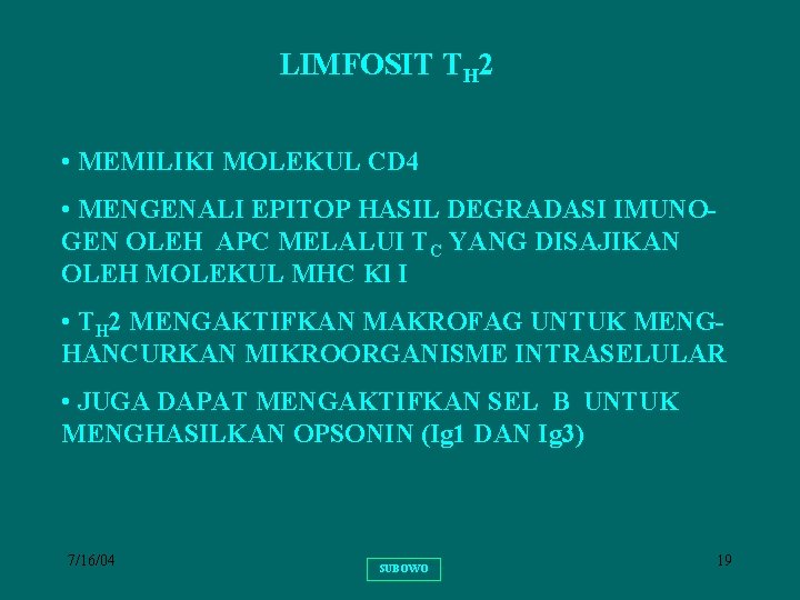 LIMFOSIT TH 2 • MEMILIKI MOLEKUL CD 4 • MENGENALI EPITOP HASIL DEGRADASI IMUNOGEN