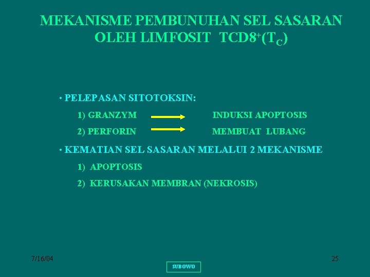 MEKANISME PEMBUNUHAN SEL SASARAN OLEH LIMFOSIT TCD 8+(TC) • PELEPASAN SITOTOKSIN: 1) GRANZYM INDUKSI