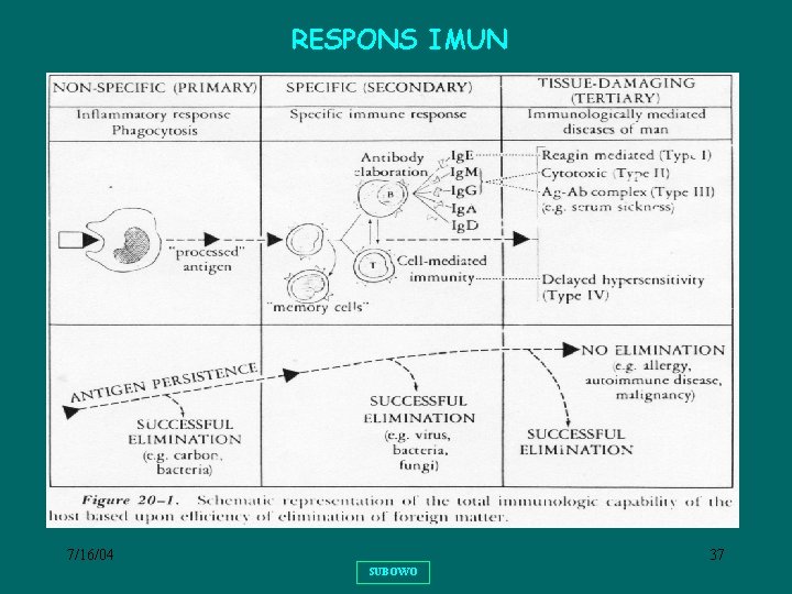 RESPONS IMUN 7/16/04 37 SUBOWO 