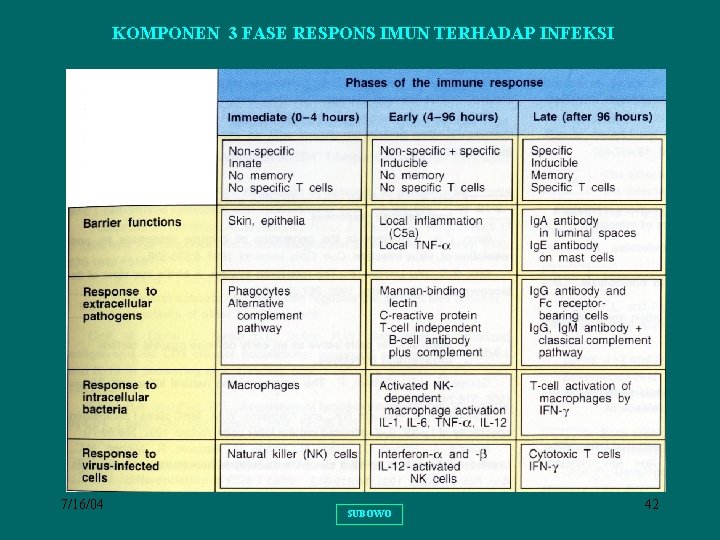 KOMPONEN 3 FASE RESPONS IMUN TERHADAP INFEKSI 7/16/04 SUBOWO 42 