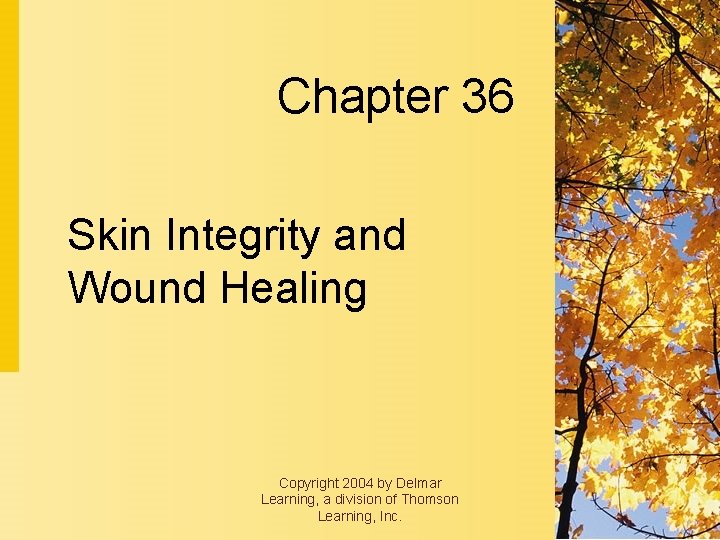 Chapter 36 Skin Integrity and Wound Healing Copyright 2004 by Delmar Learning, a division Chapter 36 Skin Integrity and Wound Healing Copyright 2004 by Delmar Learning, a division