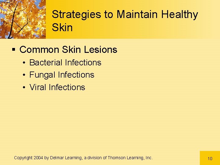 Strategies to Maintain Healthy Skin § Common Skin Lesions • Bacterial Infections • Fungal Strategies to Maintain Healthy Skin § Common Skin Lesions • Bacterial Infections • Fungal