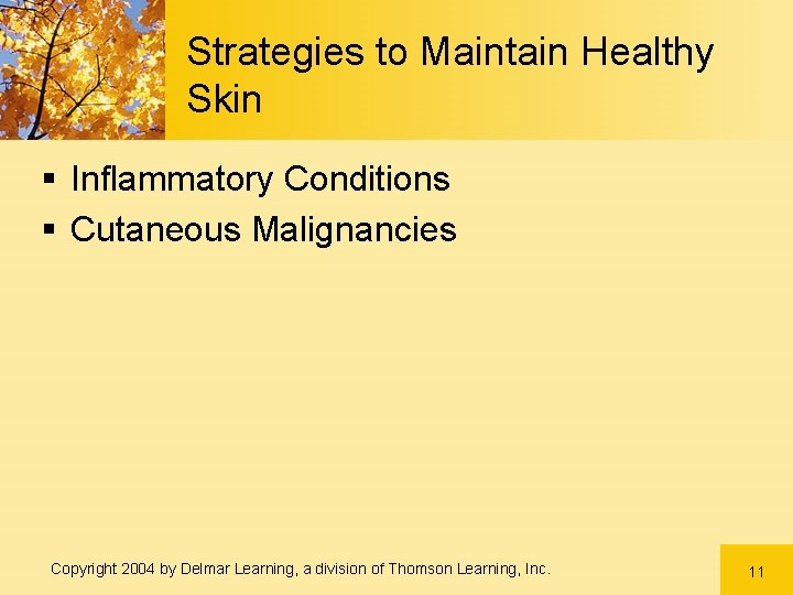 Strategies to Maintain Healthy Skin § Inflammatory Conditions § Cutaneous Malignancies Copyright 2004 by Strategies to Maintain Healthy Skin § Inflammatory Conditions § Cutaneous Malignancies Copyright 2004 by
