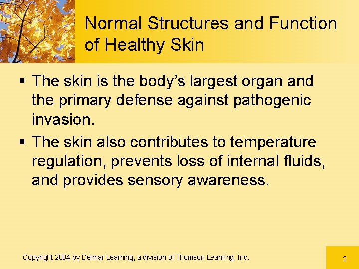 Normal Structures and Function of Healthy Skin § The skin is the body’s largest Normal Structures and Function of Healthy Skin § The skin is the body’s largest