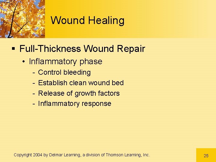 Wound Healing § Full-Thickness Wound Repair • Inflammatory phase - Control bleeding Establish clean Wound Healing § Full-Thickness Wound Repair • Inflammatory phase - Control bleeding Establish clean