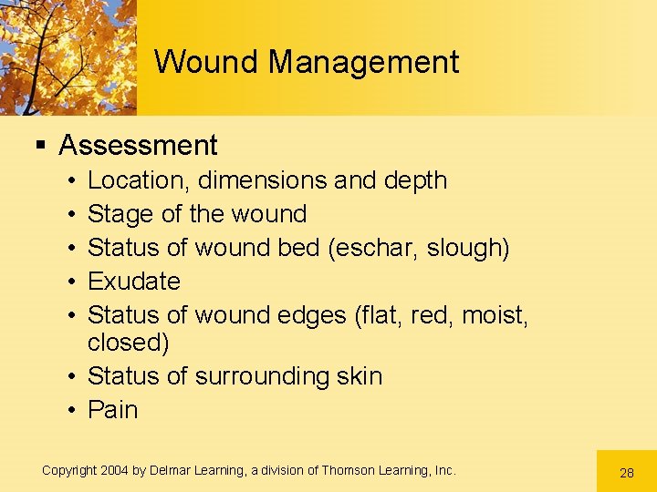 Wound Management § Assessment • • • Location, dimensions and depth Stage of the Wound Management § Assessment • • • Location, dimensions and depth Stage of the
