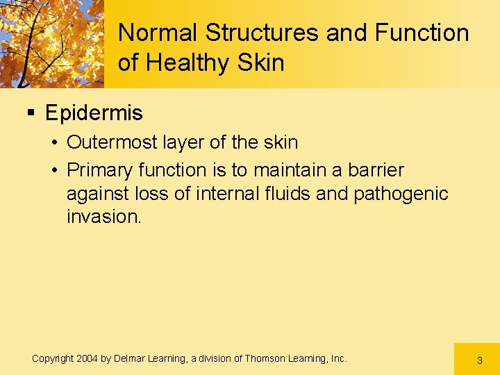 Normal Structures and Function of Healthy Skin § Epidermis • Outermost layer of the Normal Structures and Function of Healthy Skin § Epidermis • Outermost layer of the