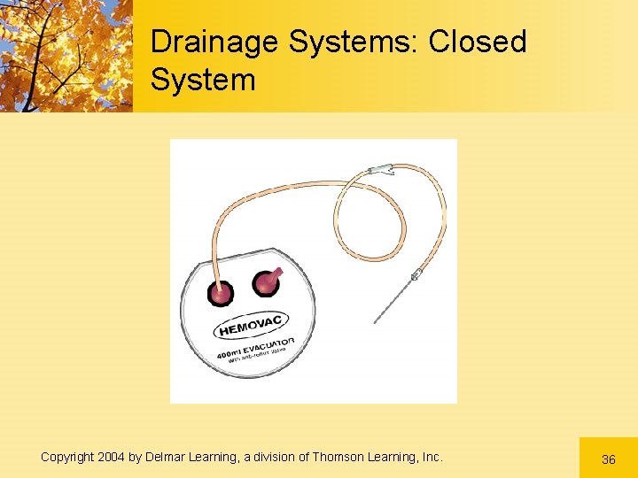 Drainage Systems: Closed System Copyright 2004 by Delmar Learning, a division of Thomson Learning, Drainage Systems: Closed System Copyright 2004 by Delmar Learning, a division of Thomson Learning,