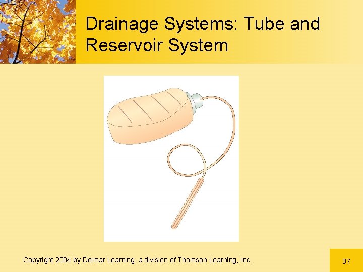 Drainage Systems: Tube and Reservoir System Copyright 2004 by Delmar Learning, a division of Drainage Systems: Tube and Reservoir System Copyright 2004 by Delmar Learning, a division of