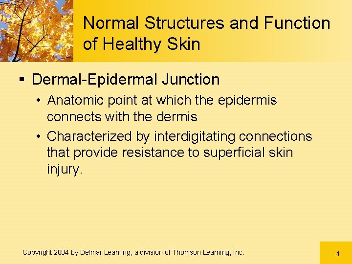 Normal Structures and Function of Healthy Skin § Dermal-Epidermal Junction • Anatomic point at Normal Structures and Function of Healthy Skin § Dermal-Epidermal Junction • Anatomic point at