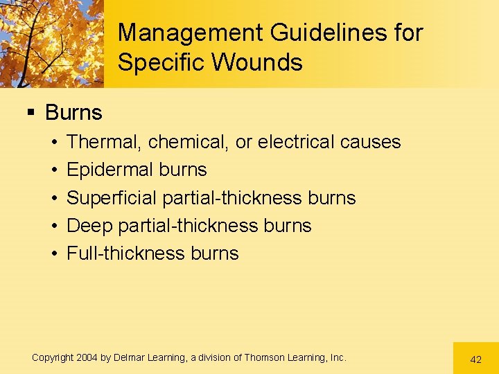 Management Guidelines for Specific Wounds § Burns • • • Thermal, chemical, or electrical Management Guidelines for Specific Wounds § Burns • • • Thermal, chemical, or electrical