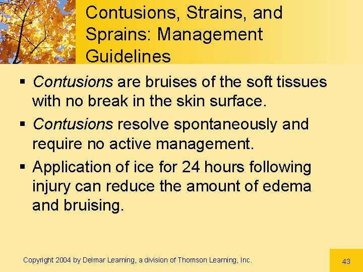 Contusions, Strains, and Sprains: Management Guidelines § Contusions are bruises of the soft tissues Contusions, Strains, and Sprains: Management Guidelines § Contusions are bruises of the soft tissues
