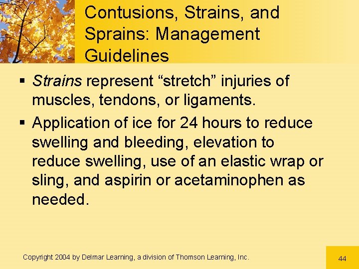 Contusions, Strains, and Sprains: Management Guidelines § Strains represent “stretch” injuries of muscles, tendons, Contusions, Strains, and Sprains: Management Guidelines § Strains represent “stretch” injuries of muscles, tendons,