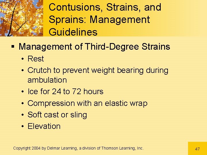 Contusions, Strains, and Sprains: Management Guidelines § Management of Third-Degree Strains • Rest • Contusions, Strains, and Sprains: Management Guidelines § Management of Third-Degree Strains • Rest •