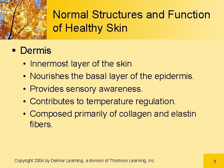 Normal Structures and Function of Healthy Skin § Dermis • • • Innermost layer Normal Structures and Function of Healthy Skin § Dermis • • • Innermost layer