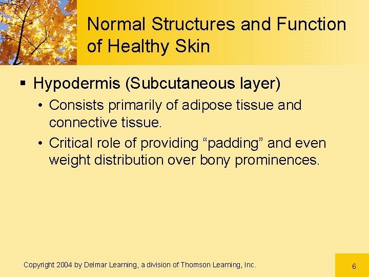 Normal Structures and Function of Healthy Skin § Hypodermis (Subcutaneous layer) • Consists primarily Normal Structures and Function of Healthy Skin § Hypodermis (Subcutaneous layer) • Consists primarily