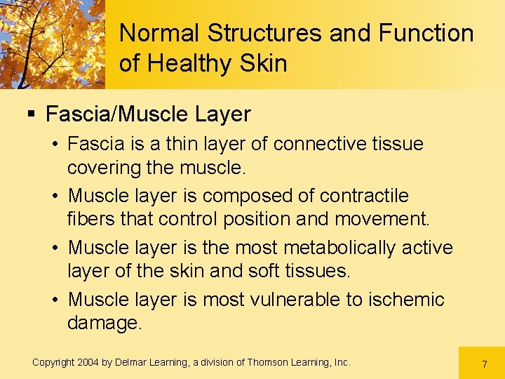 Normal Structures and Function of Healthy Skin § Fascia/Muscle Layer • Fascia is a Normal Structures and Function of Healthy Skin § Fascia/Muscle Layer • Fascia is a