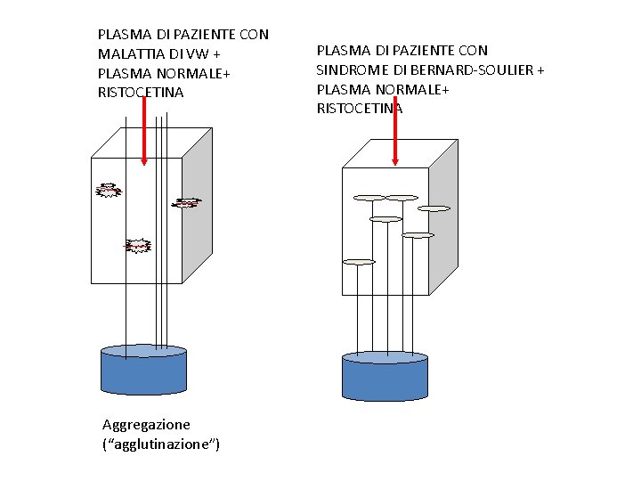 PLASMA DI PAZIENTE CON MALATTIA DI VW + PLASMA NORMALE+ RISTOCETINA Aggregazione (“agglutinazione”) PLASMA