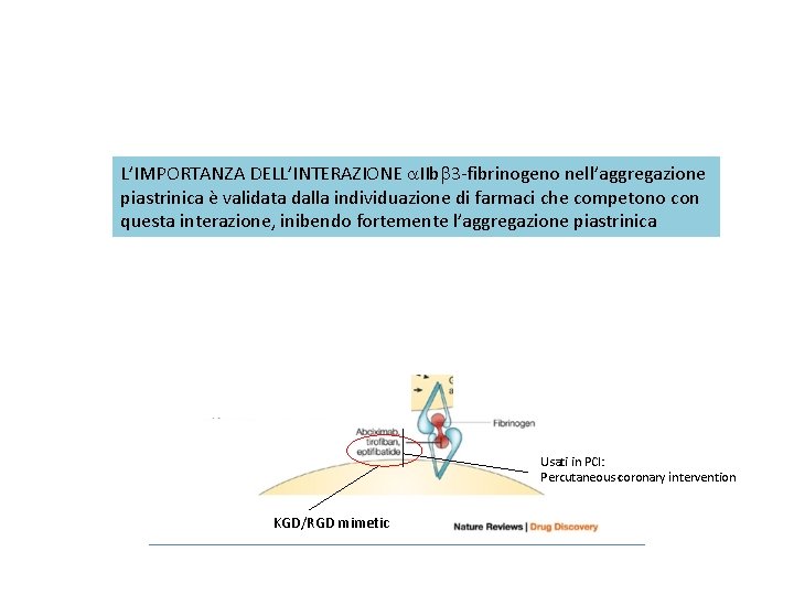 bivalirudin prasugrel L’IMPORTANZA DELL’INTERAZIONE a. IIbb 3 -fibrinogeno nell’aggregazione piastrinica è validata NO dalla