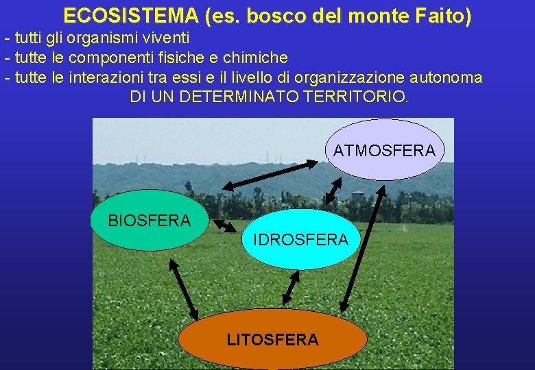 ECOSISTEMA (es. bosco del monte Faito) - tutti gli organismi viventi - tutte le ECOSISTEMA (es. bosco del monte Faito) - tutti gli organismi viventi - tutte le