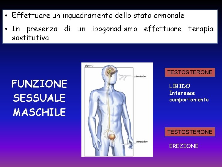  • Effettuare un inquadramento dello stato ormonale • In presenza di un ipogonadismo