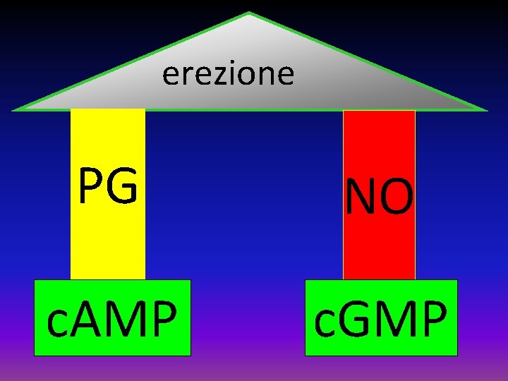 erezione PG NO c. AMP c. GMP 