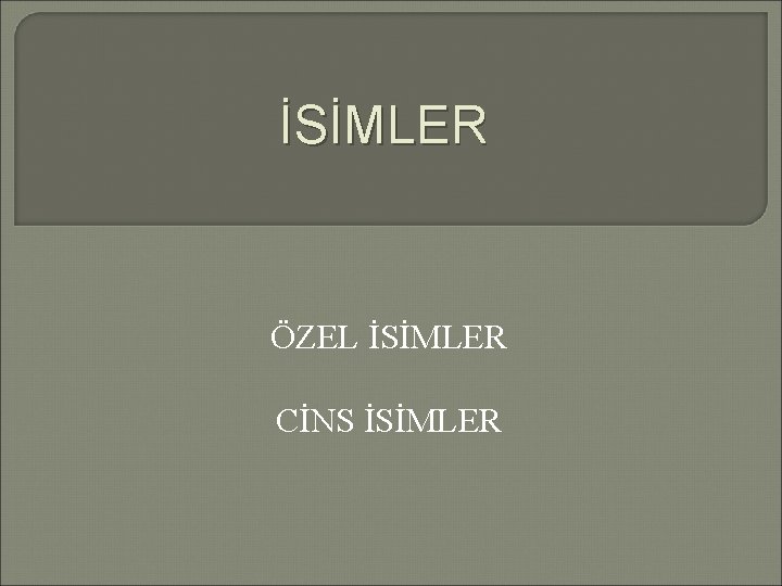 İSİMLER ÖZEL İSİMLER CİNS İSİMLER 