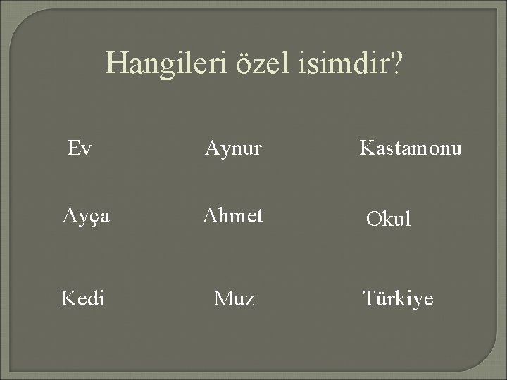 Hangileri özel isimdir? Ev Aynur Kastamonu Ayça Ahmet Okul Kedi Muz Türkiye 