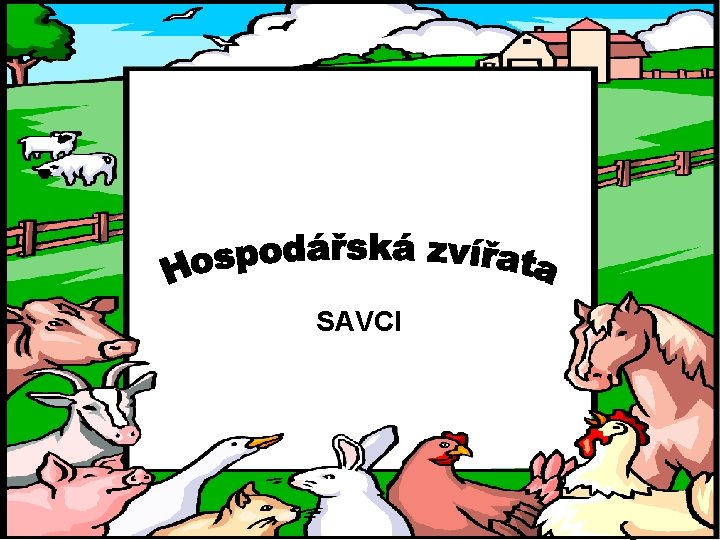 SAVCI 