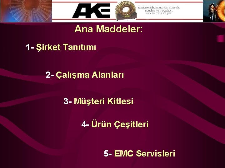 Ana Maddeler: 1 - Şirket Tanıtımı 2 - Çalışma Alanları 3 - Müşteri Kitlesi