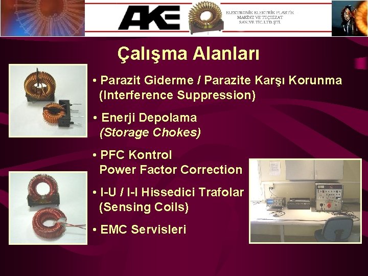 Çalışma Alanları • Parazit Giderme / Parazite Karşı Korunma (Interference Suppression) • Enerji Depolama