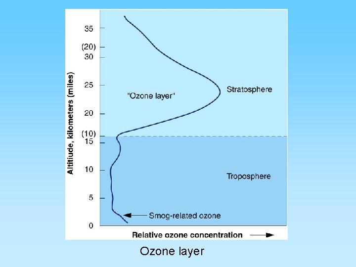 Ozone layer 