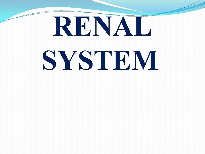 RENAL SYSTEM 