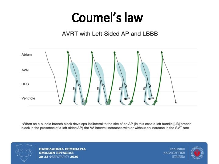 Coumel’s law 