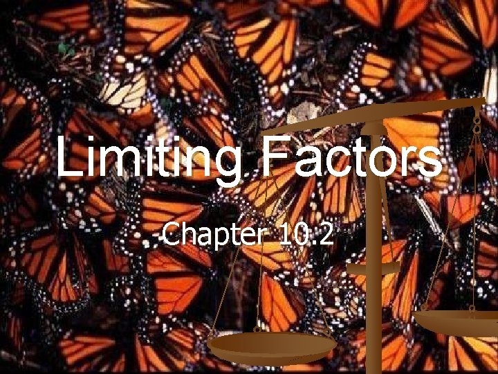 Limiting Factors Chapter 10. 2 