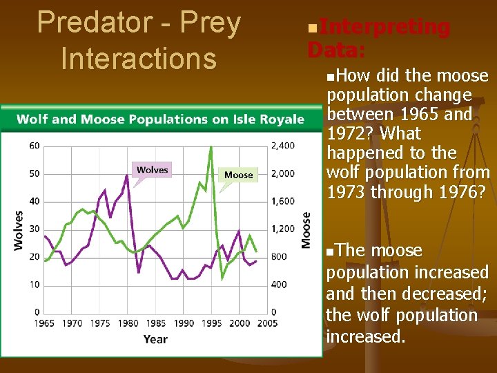 Predator - Prey Interactions n. Interpreting Data: n. How did the moose population change
