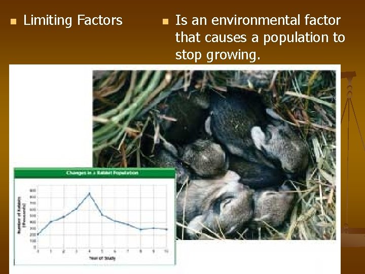 n Limiting Factors n Is an environmental factor that causes a population to stop
