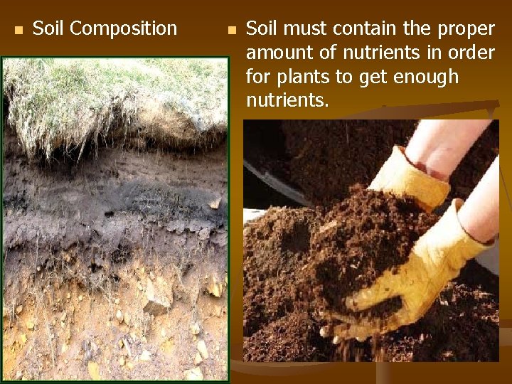 n Soil Composition n Soil must contain the proper amount of nutrients in order