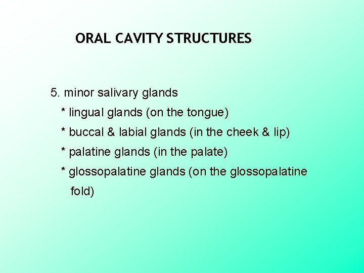 ORAL CAVITY STRUCTURES 5. minor salivary glands * lingual glands (on the tongue) *