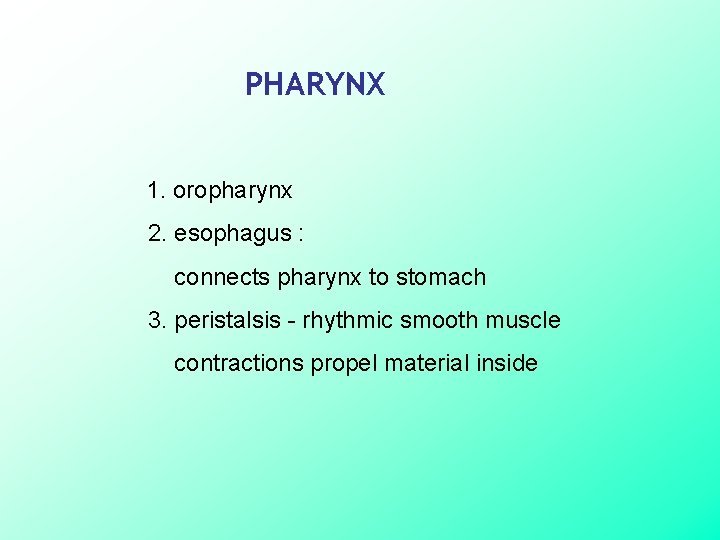 PHARYNX 1. oropharynx 2. esophagus : connects pharynx to stomach 3. peristalsis - rhythmic