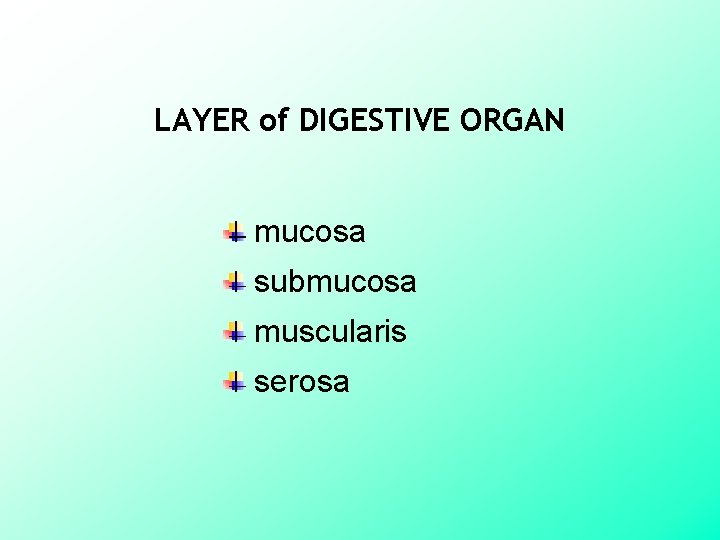 LAYER of DIGESTIVE ORGAN mucosa submucosa muscularis serosa 
