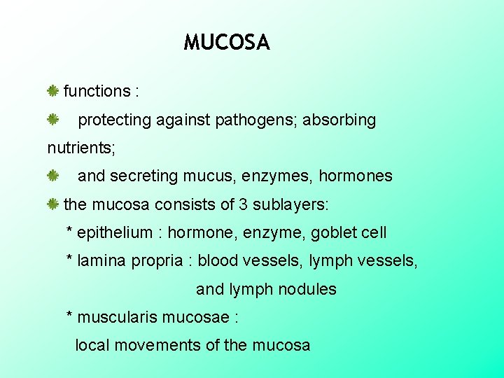 MUCOSA functions : protecting against pathogens; absorbing nutrients; and secreting mucus, enzymes, hormones the