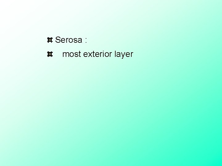  Serosa : most exterior layer 