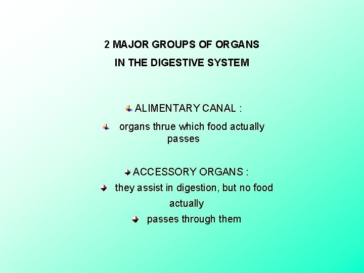 2 MAJOR GROUPS OF ORGANS IN THE DIGESTIVE SYSTEM ALIMENTARY CANAL : organs thrue