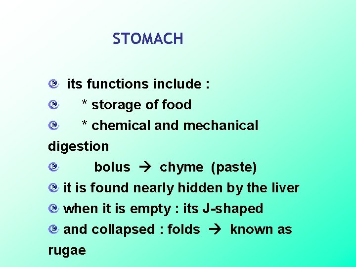 STOMACH its functions include : * storage of food * chemical and mechanical digestion