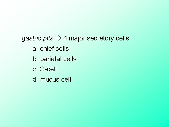  gastric pits 4 major secretory cells: a. chief cells b. parietal cells c.