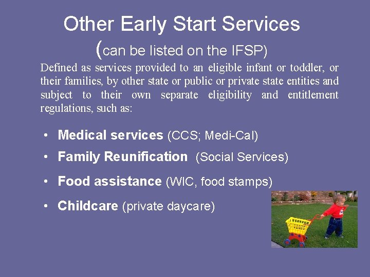 Other Early Start Services (can be listed on the IFSP) Defined as services provided